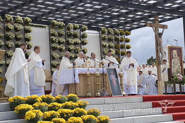 20080913 silines400 2037 sk