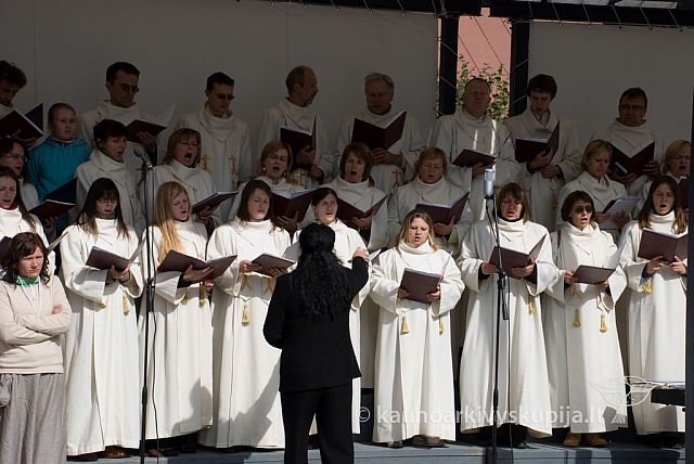 20080913 silines400 2038 sk