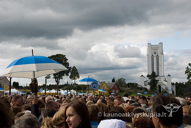 20080913 silines400 2051 sk