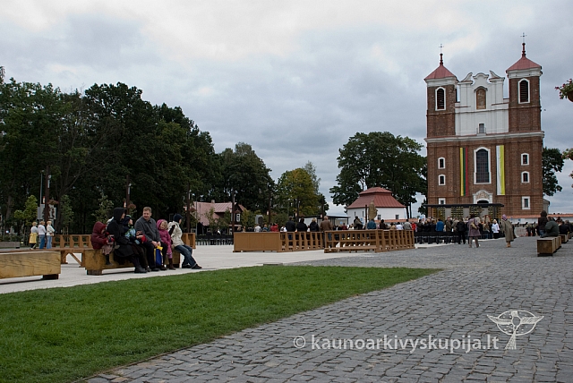 20080913 silines400 2086 sk