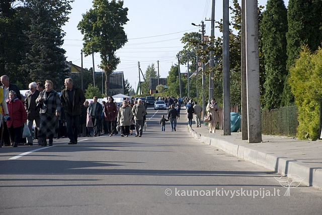 20080914 silines400 1033 sk