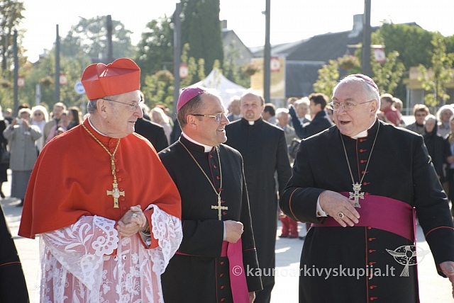 20080914 silines400 1089 sk