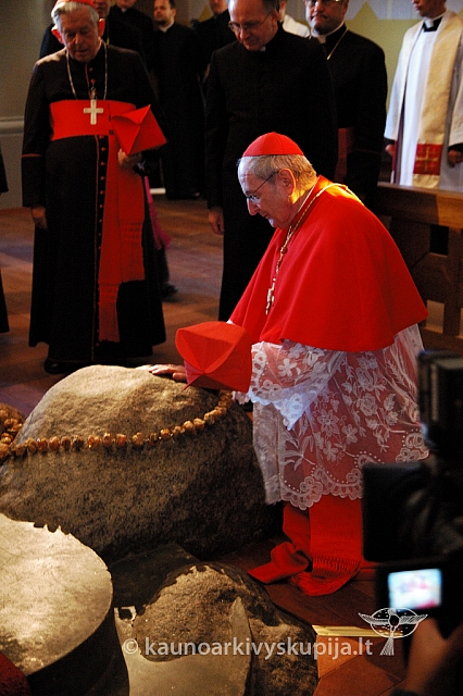 20080914 silines400 1108 ak