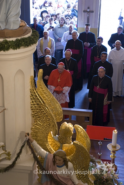 20080914 silines400 2064 sk