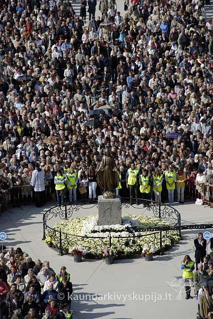 20080914 silines400 4106 sk