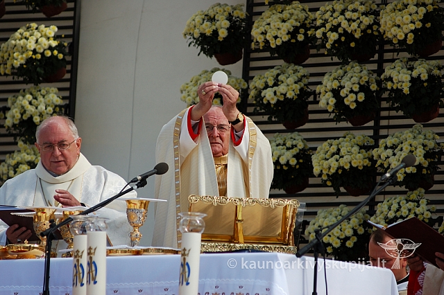 20080914 silines400 4119 ak