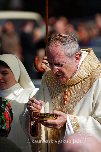 20080914 silines400 4121 ak