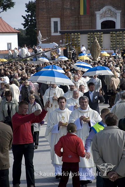 20080914 silines400 4131 sk