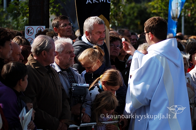 20080914 silines400 4132 ak