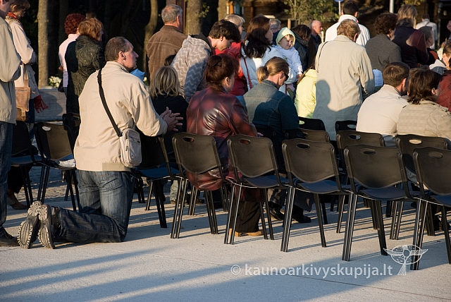 20080914 silines400 5099 sk