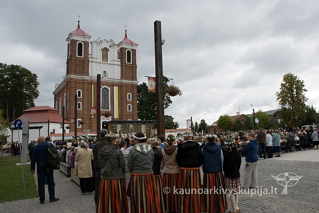 20080915 silines400 1073 sk