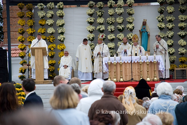 20080915 silines400 2037 sk