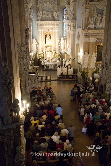 20080915 silines400 3073 sk