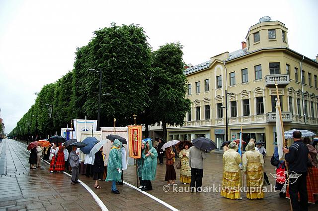 2009 devintines 7646 ak