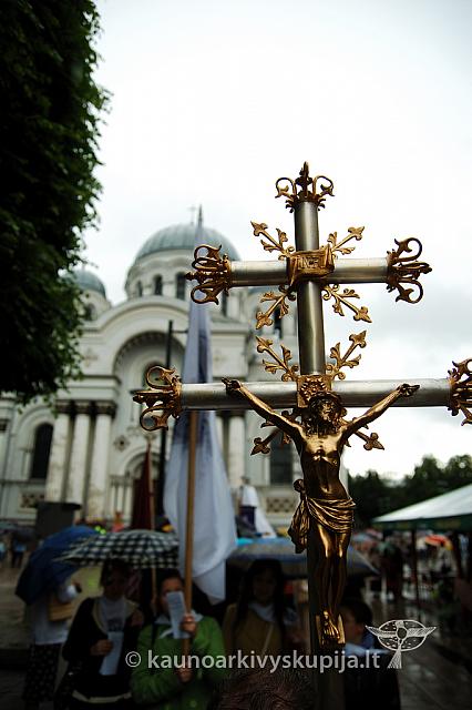 2009 devintines 7650 ak