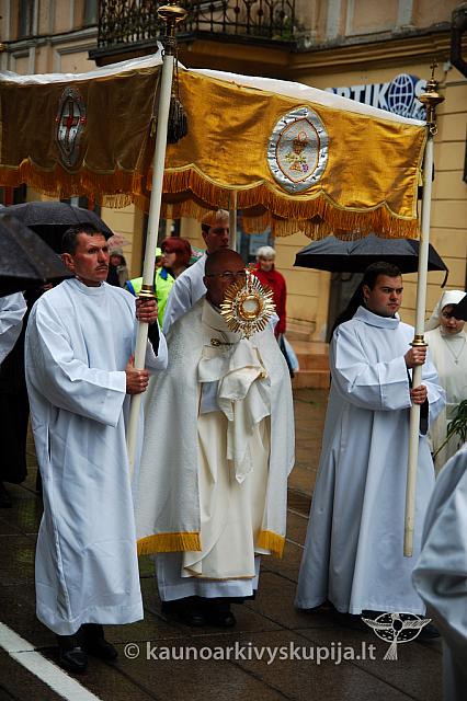 2009 devintines 7669 ak