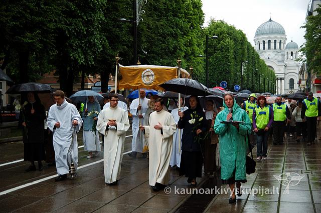 2009 devintines 7695 ak