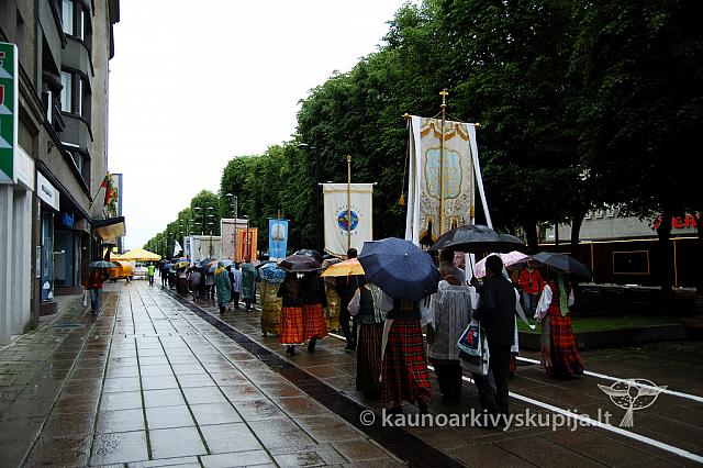 2009 devintines 7710 ak