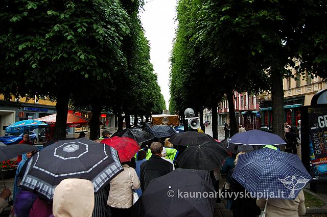 2009 devintines 7729 ak