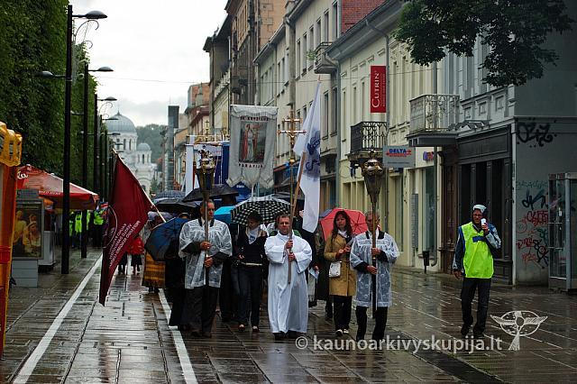 2009 devintines 7767 ak