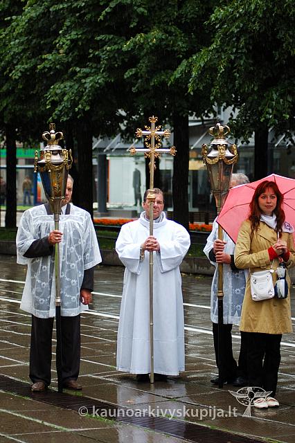 2009 devintines 7798 ak