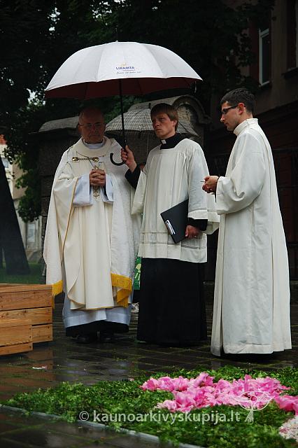 2009 devintines 7870 ak