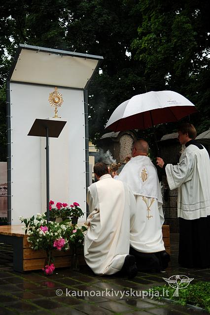 2009 devintines 7873 ak