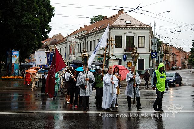 2009 devintines 7874 ak