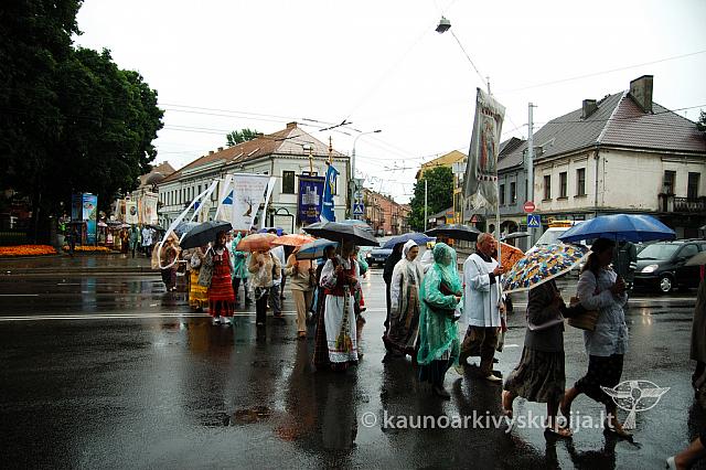 2009 devintines 7878 ak