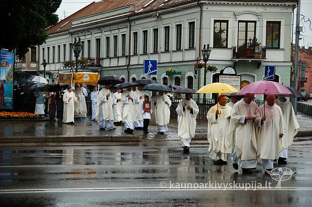 2009 devintines 7880 ak