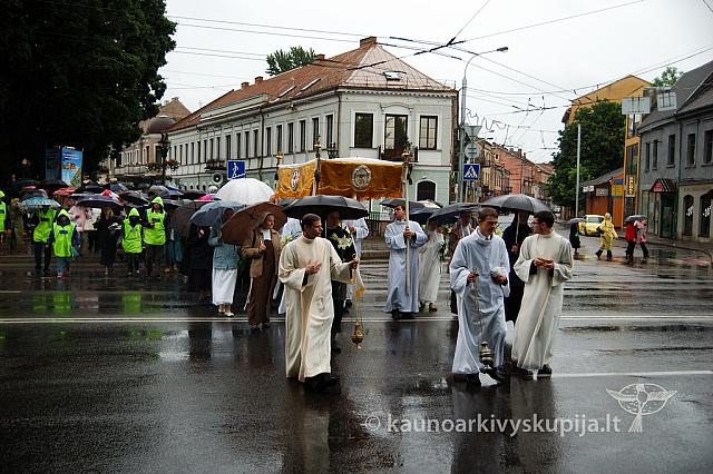 2009 devintines 7888 ak