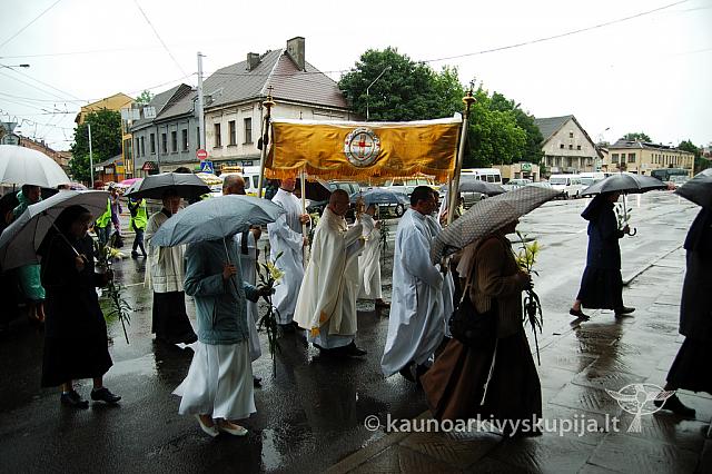 2009 devintines 7889 ak