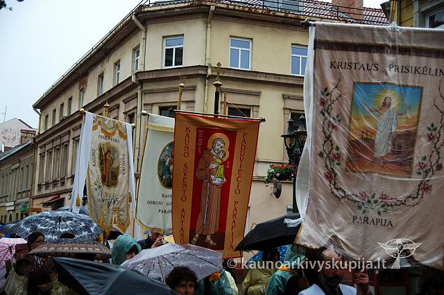 2009 devintines 7920 ak