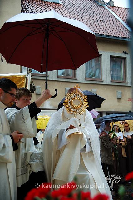 2009 devintines 7942 ak