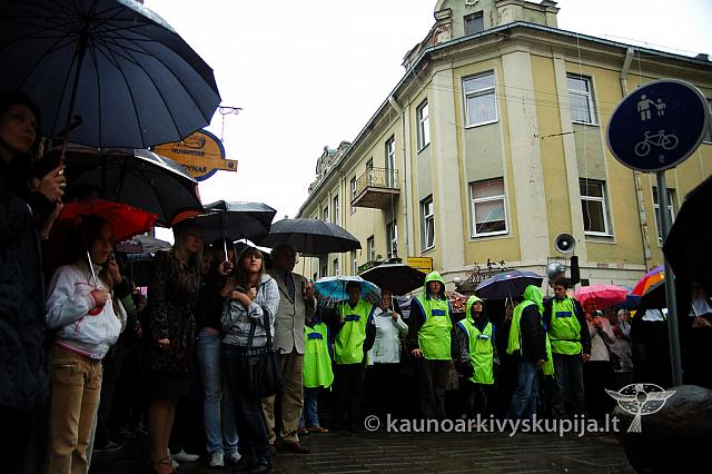 2009 devintines 7948 ak