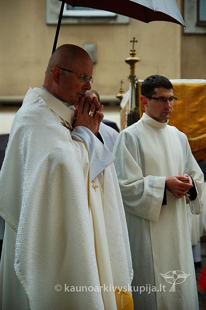 2009 devintines 7950 ak