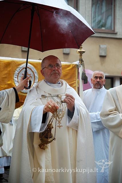 2009 devintines 7960 ak