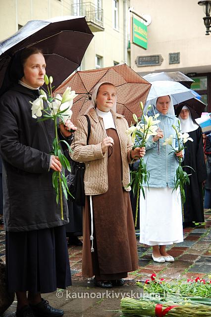 2009 devintines 7966 ak