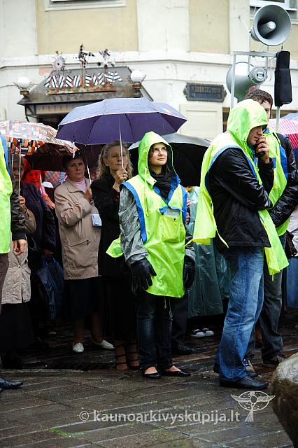 2009 devintines 7967 ak