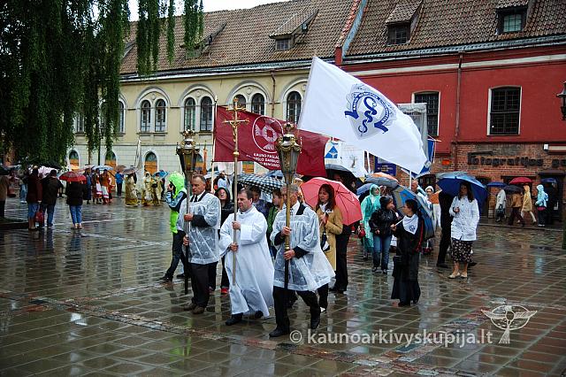 2009 devintines 7978 ak