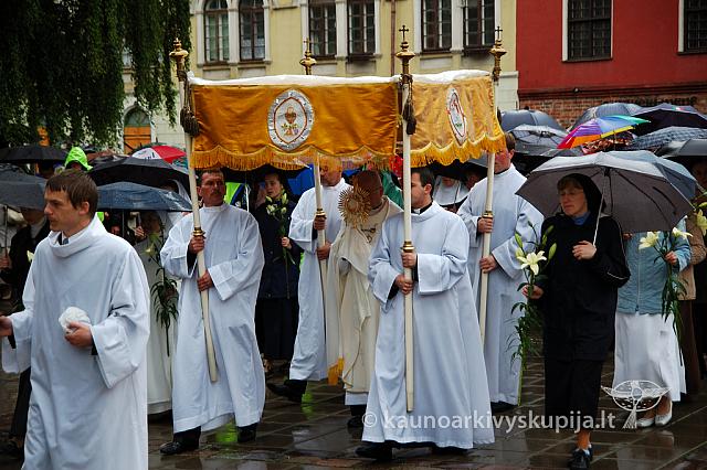 2009 devintines 7990 ak