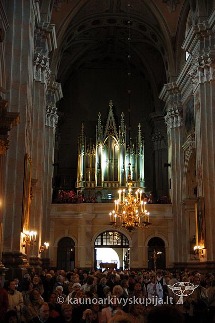 2009 devintines 8000 ak