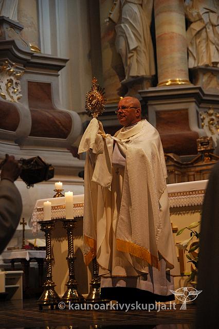 2009 devintines 8035 ak