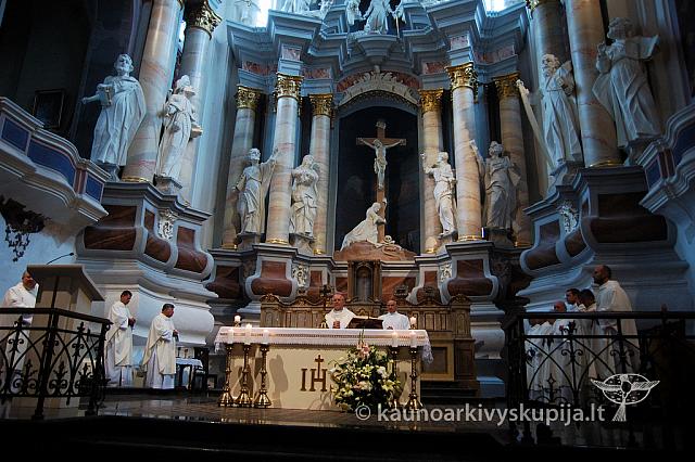 2009 devintines 8047 ak