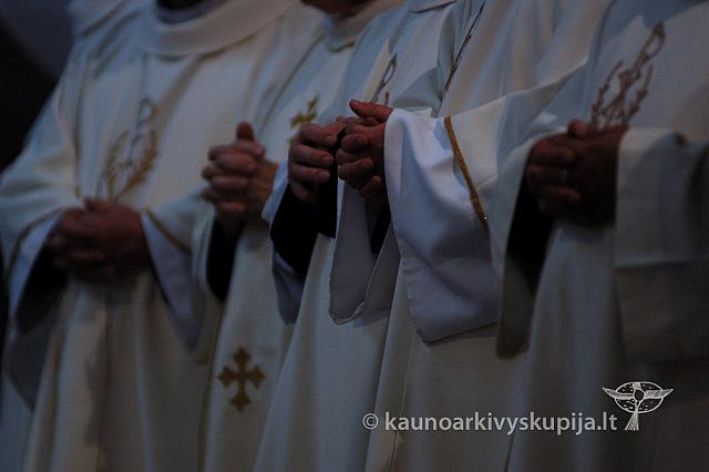 2009 devintines 8090 ak