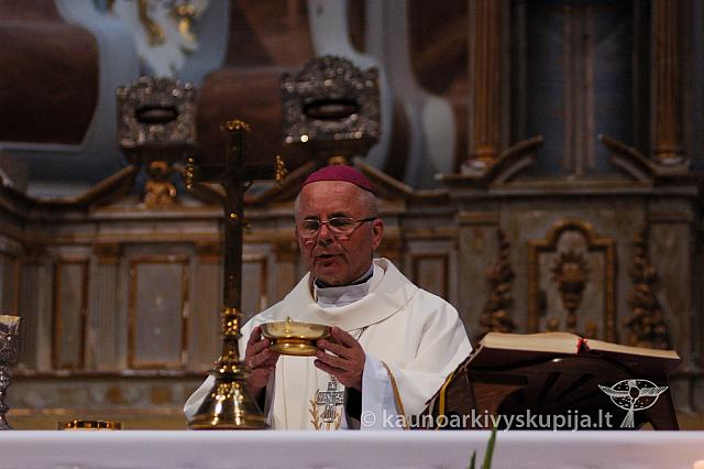 2009 devintines 8091 ak