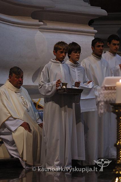 2009 devintines 8098 ak