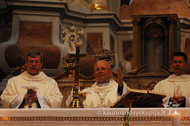 2009 devintines 8103 ak