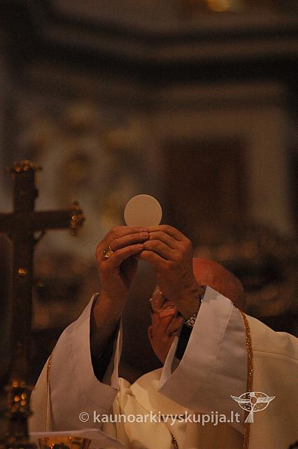 2009 devintines 8114 ak