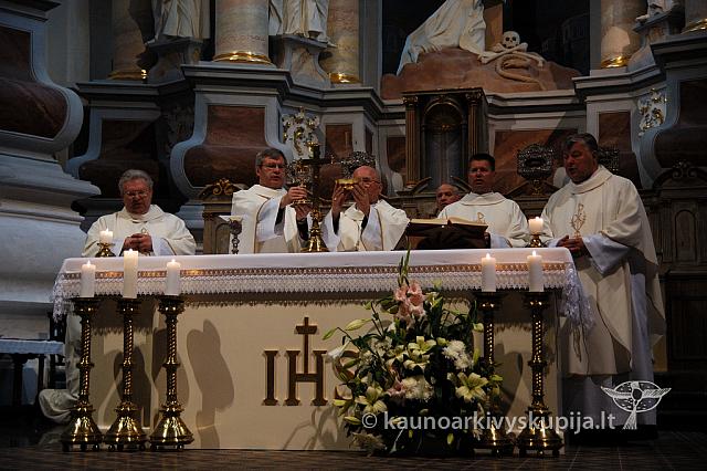 2009 devintines 8122 ak